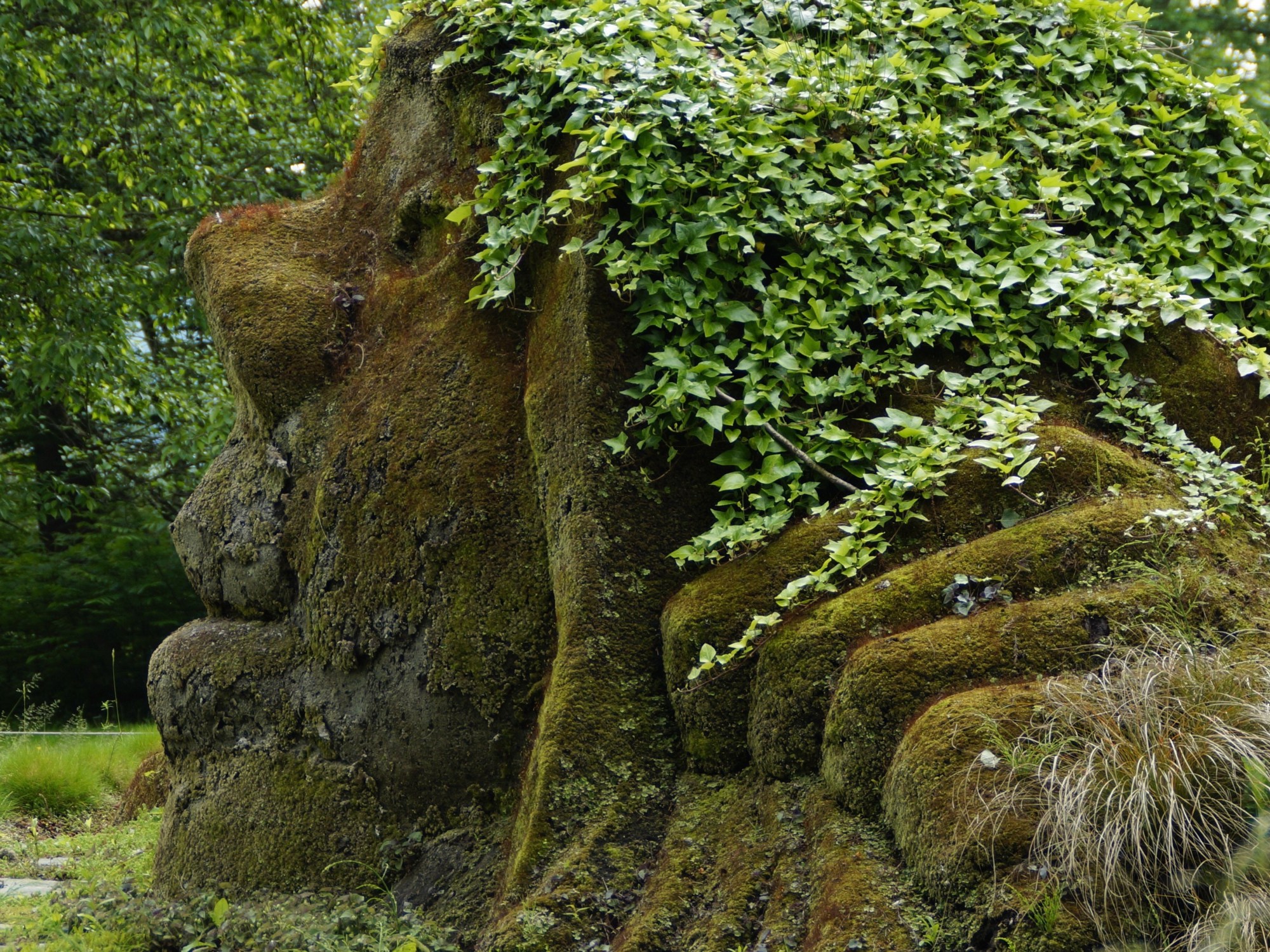 Image of Stone Giant Head
